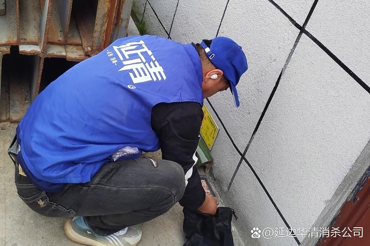 吉林省消殺四害服務 #蟲害防治# #四害消殺# #上門殺蟲公司# #食品廠